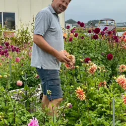 De Tulperij - Hillegom