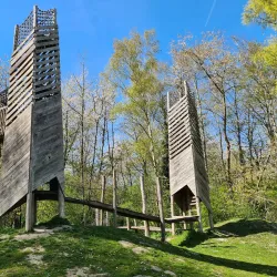 Haarlemmermeerse Bos - Hillegom