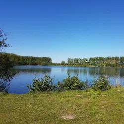 Haarlemmermeerse Bos - Hillegom