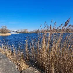 Haarlemmermeerse Bos - Hillegom