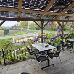 Hillegom Flower Fields - Hillegom