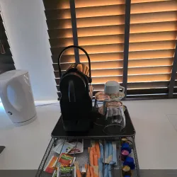 Hillegom Flower Fields - Hillegom