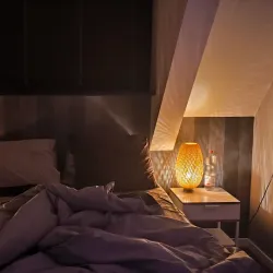 Hillegom Flower Fields - Hillegom