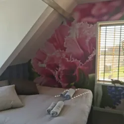 Hillegom Flower Fields - Hillegom