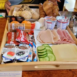 Hillegom Flower Fields - Hillegom