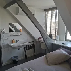 Hillegom Flower Fields - Hillegom