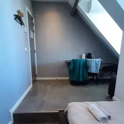 Hillegom Flower Fields - Hillegom