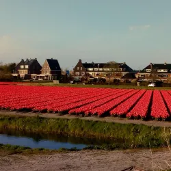 Hillegom Town Center - Hillegom