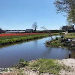 Hillegom Town Center - Hillegom