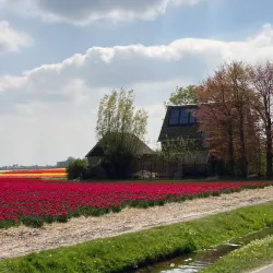 Hillegom Town Center - Hillegom