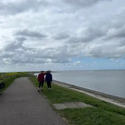 Holland Route Cycling Tours - Hillegom