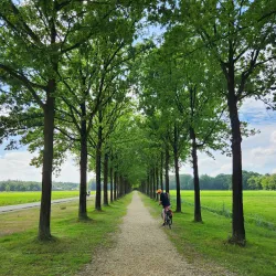 Holland Route Cycling Tours - Hillegom