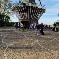 Keukenhof Gardens - Hillegom