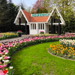 Keukenhof Gardens - Hillegom