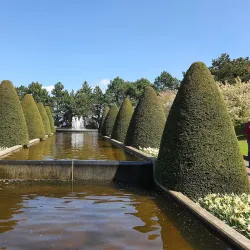 Keukenhof Gardens - Hillegom