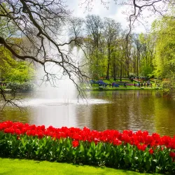 Keukenhof Gardens - Hillegom