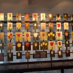 Museum De Zwarte Tulp - Hillegom