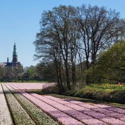 Sint Agathakerk - Hillegom