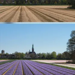 Sint Agathakerk - Hillegom