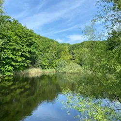 Anna's Hoeve - Hilversum