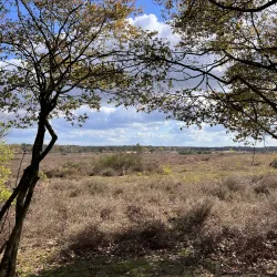 Anna's Hoeve - Hilversum