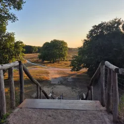 Goois Natuurreservaat - Hilversum