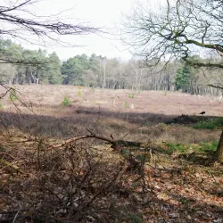 Goois Natuurreservaat - Hilversum