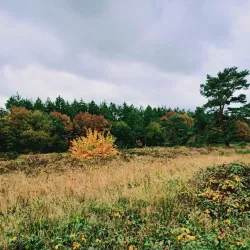 Goois Natuurreservaat - Hilversum