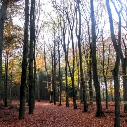 Hilversumse Golf Club - Hilversum