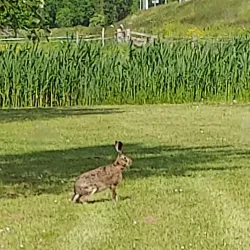 Golfclub Spaarnwoude - Hoofddorp