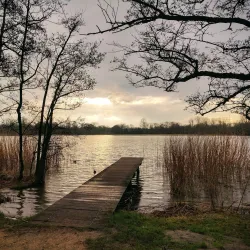 Haarlemmermeerse Bos - Hoofddorp