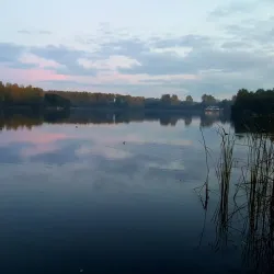 Haarlemmermeerse Bos - Hoofddorp