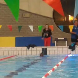 De Meent Park - Huizen