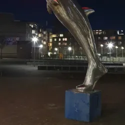 De Meent Park - Huizen