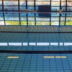 De Meent Park - Huizen