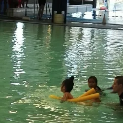 De Meent Park - Huizen