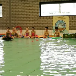 De Meent Park - Huizen