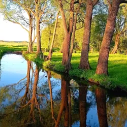 De Vuursche - Huizen
