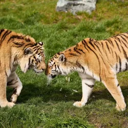 AquaZoo Friesland - Leeuwarden