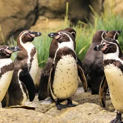 AquaZoo Friesland - Leeuwarden