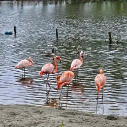 AquaZoo Friesland - Leeuwarden