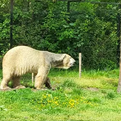AquaZoo Friesland - Leeuwarden