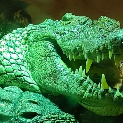 AquaZoo Friesland - Leeuwarden