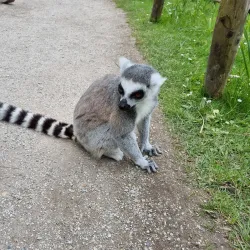 AquaZoo Friesland - Leeuwarden