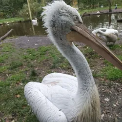 AquaZoo Friesland - Leeuwarden