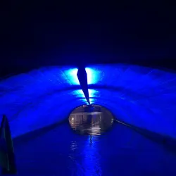 Canal Tours - Leeuwarden