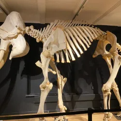 Natuurmuseum Fryslân - Leeuwarden