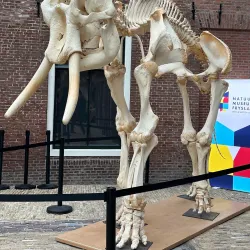 Natuurmuseum Fryslân - Leeuwarden