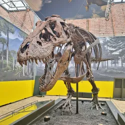 Natuurmuseum Fryslân - Leeuwarden