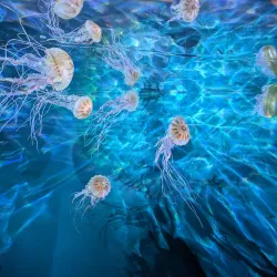 Natuurmuseum Fryslân - Leeuwarden